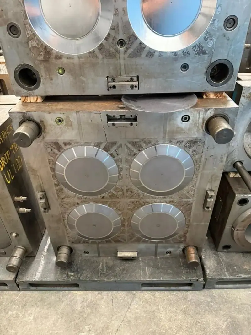 Detalhe do molde de injeção para prato com peça de 95 g no estoque da 3WS Moldes